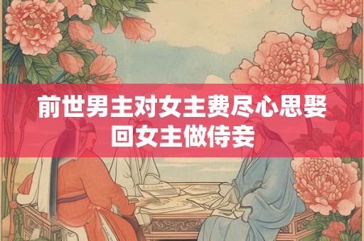 前世男主对女主费尽心思娶回女主做侍妾