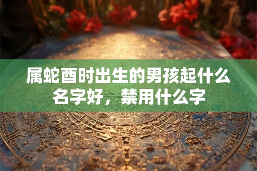 属蛇酉时出生的男孩起什么名字好，禁用什么字