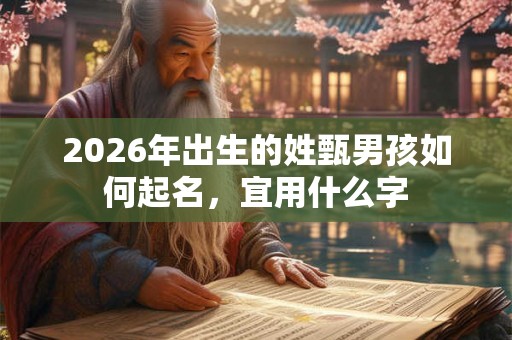 2026年出生的姓甄男孩如何起名，宜用什么字