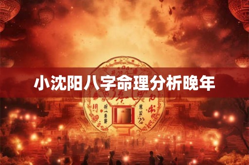 小沈阳八字命理分析晚年 小沈阳八字命理分析晚年