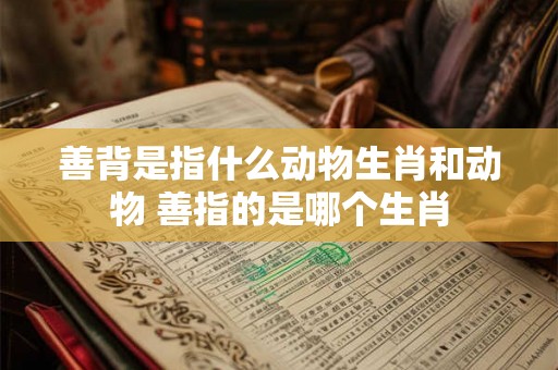 善背是指什么动物生肖和动物 善指的是哪个生肖