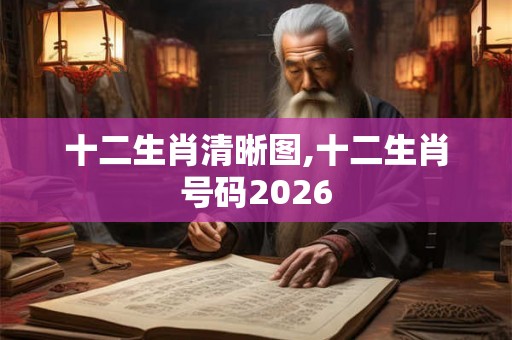 十二生肖清晰图,十二生肖号码2026 十二生肖清晰图,十二生肖号码2026