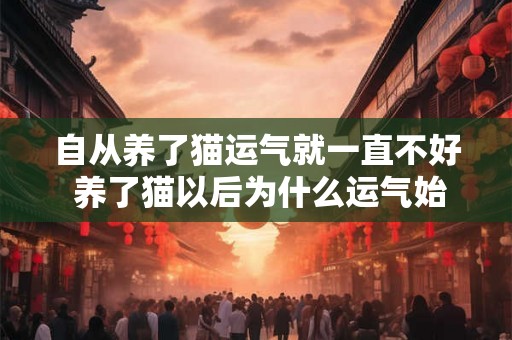 自从养了猫运气就一直不好 养了猫以后为什么运气始终不好呢