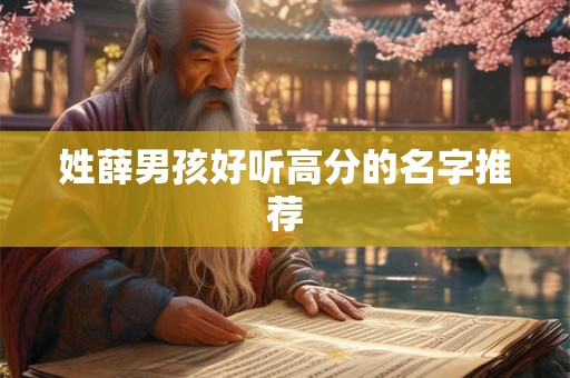 姓薛男孩好听高分的名字推荐