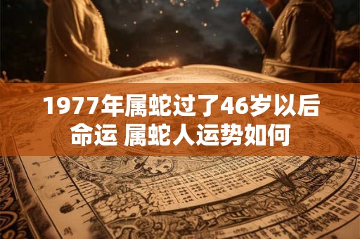 1977年属蛇过了46岁以后命运 属蛇人运势如何