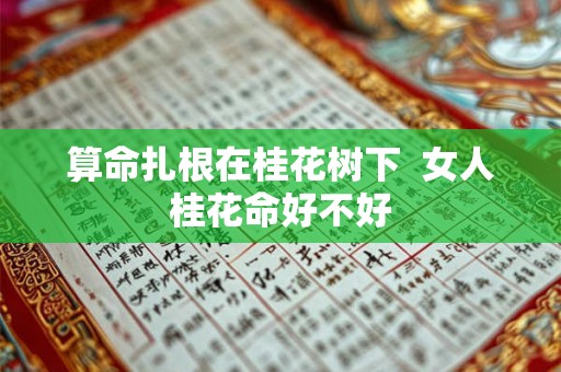 算命扎根在桂花树下  女人桂花命好不好