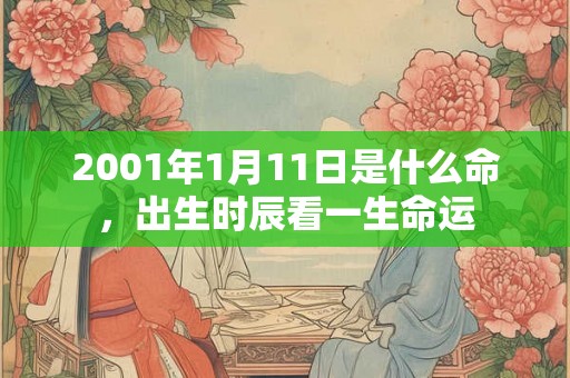 2001年1月11日是什么命，出生时辰看一生命运