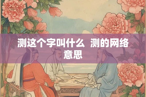 测这个字叫什么  测的网络意思