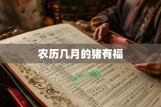 农历几月的猪有福 农历几月的猪有福