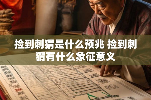 捡到刺猬是什么预兆 捡到刺猬有什么象征意义 捡到刺猬是什么预兆 捡到刺猬有什么象征意义