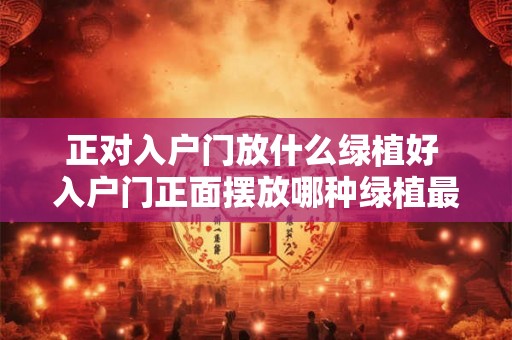 正对入户门放什么绿植好 入户门正面摆放哪种绿植最好