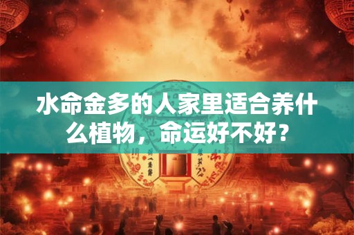 水命金多的人家里适合养什么植物，命运好不好？