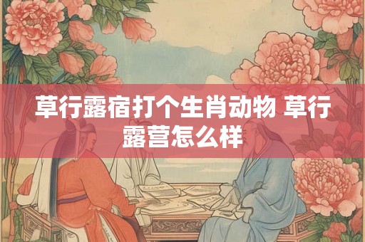 草行露宿打个生肖动物 草行露营怎么样