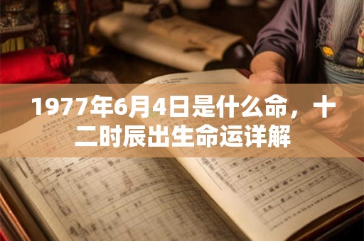 1977年6月4日是什么命，十二时辰出生命运详解