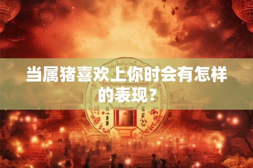 当属猪喜欢上你时会有怎样的表现？