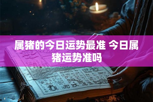 属猪的今日运势最准 今日属猪运势准吗 属猪的今日运势最准 今日属猪运势准吗