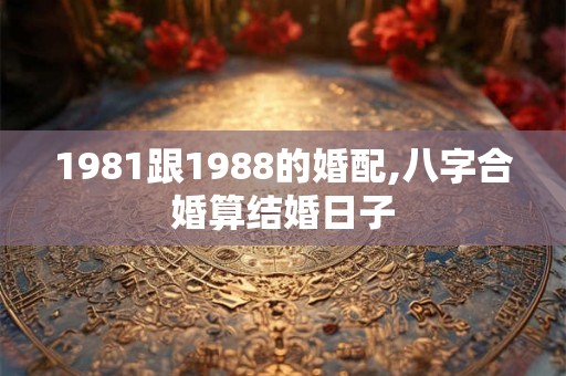 1981跟1988的婚配,八字合婚算结婚日子