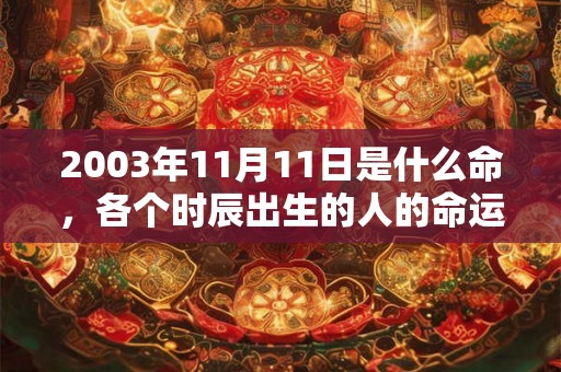 2003年11月11日是什么命，各个时辰出生的人的命运