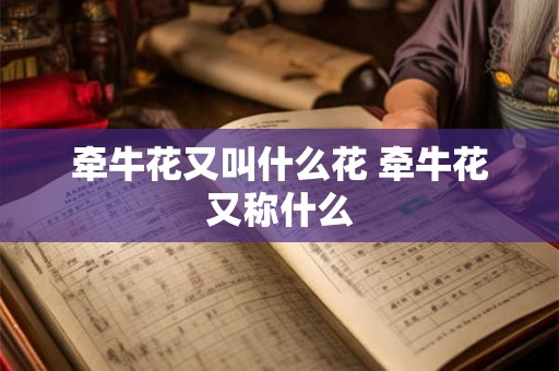 牵牛花又叫什么花 牵牛花又称什么