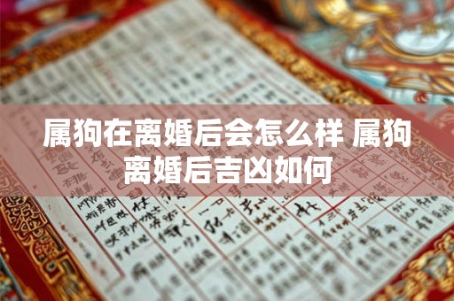 属狗在离婚后会怎么样 属狗离婚后吉凶如何 属狗在离婚后会怎么样 属狗离婚后吉凶如何
