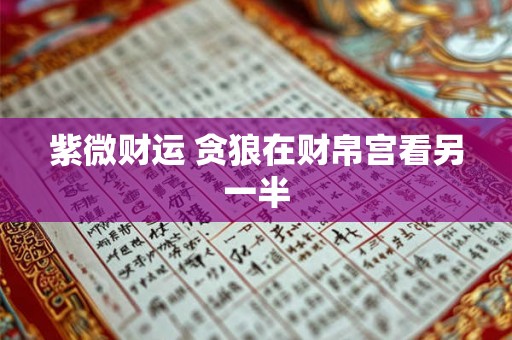 紫微财运 贪狼在财帛宫看另一半