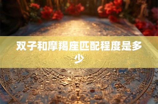 双子和摩羯座匹配程度是多少