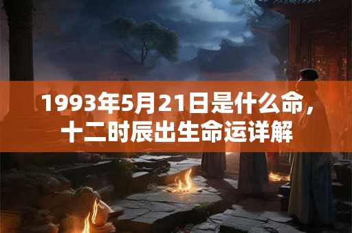 1993年5月21日是什么命，十二时辰出生命运详解