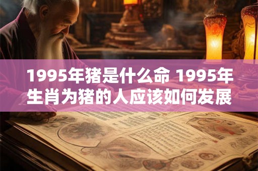 1995年猪是什么命 1995年生肖为猪的人应该如何发展事业