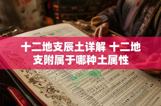 十二地支辰土详解 十二地支附属于哪种土属性