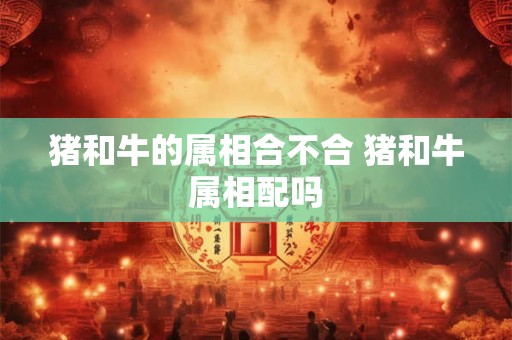 猪和牛的属相合不合 猪和牛属相配吗 猪和牛的属相合不合 猪和牛属相配吗