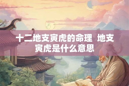 十二地支寅虎的命理  地支寅虎是什么意思