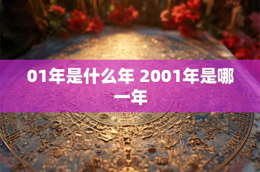 01年是什么年 2001年是哪一年