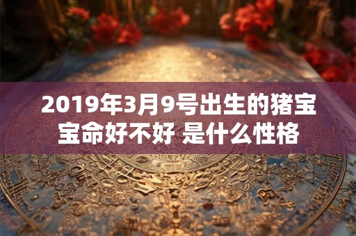 2019年3月9号出生的猪宝宝命好不好 是什么性格