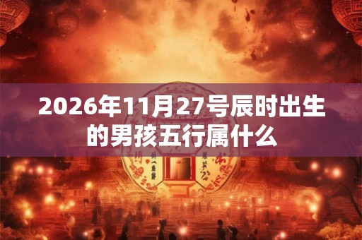 2026年11月27号辰时出生的男孩五行属什么