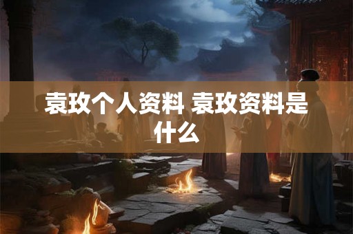 袁玫个人资料 袁玫资料是什么 袁玫个人资料 袁玫资料是什么