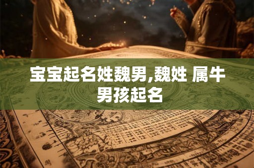 宝宝起名姓魏男,魏姓 属牛 男孩起名