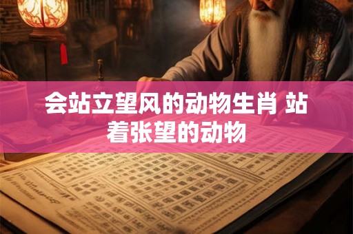 会站立望风的动物生肖 站着张望的动物