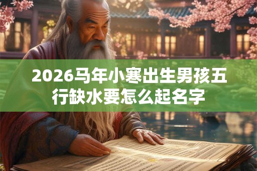 2026马年小寒出生男孩五行缺水要怎么起名字