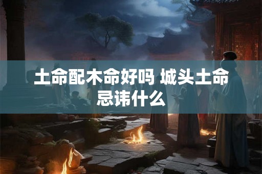 土命配木命好吗 城头土命忌讳什么