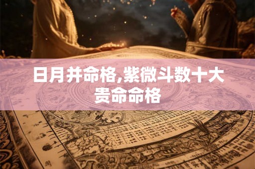 日月并命格,紫微斗数十大贵命命格