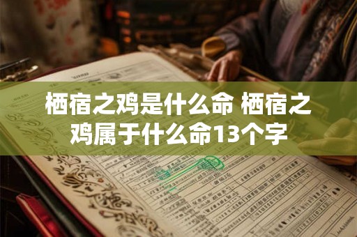 栖宿之鸡是什么命 栖宿之鸡属于什么命13个字
