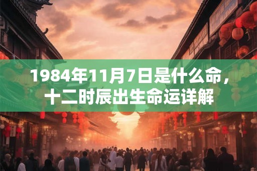 1984年11月7日是什么命，十二时辰出生命运详解