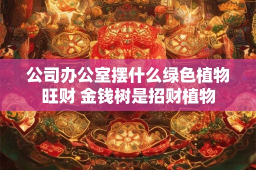 公司办公室摆什么绿色植物旺财 金钱树是招财植物