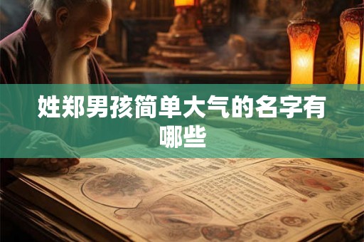姓郑男孩简单大气的名字有哪些