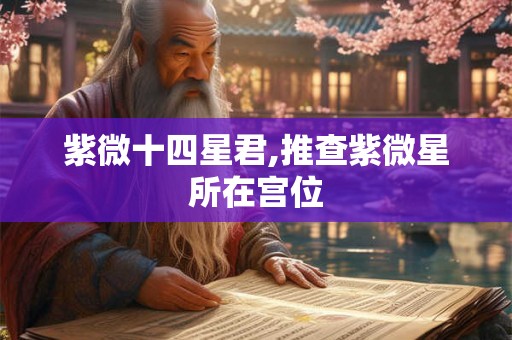 紫微十四星君,推查紫微星所在宫位