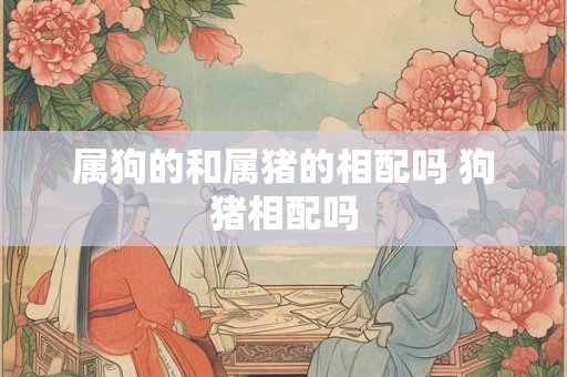 属狗的和属猪的相配吗 狗猪相配吗