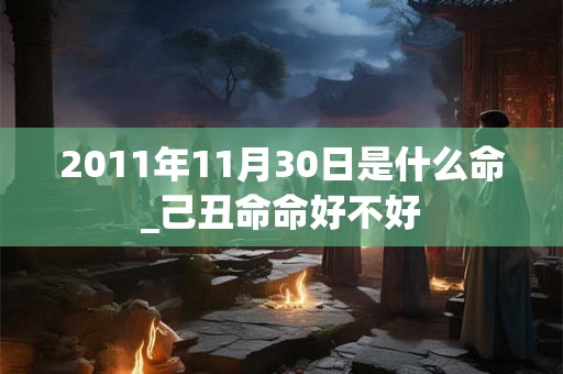 2011年11月30日是什么命_己丑命命好不好