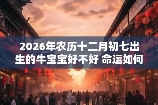 2026年农历十二月初七出生的牛宝宝好不好 命运如何 2026年农历十二月初七出生的牛宝宝好不好 命运如何