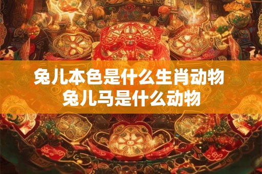 兔儿本色是什么生肖动物 兔儿马是什么动物