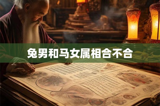 兔男和马女属相合不合